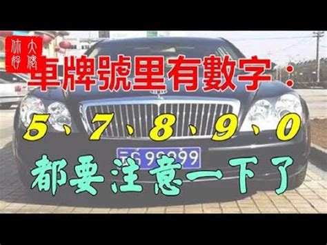 車牌風水|車牌吉凶一目瞭然